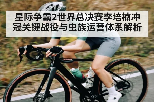 星际争霸2世界总决赛李培楠冲冠关键战役与虫族运营体系解析